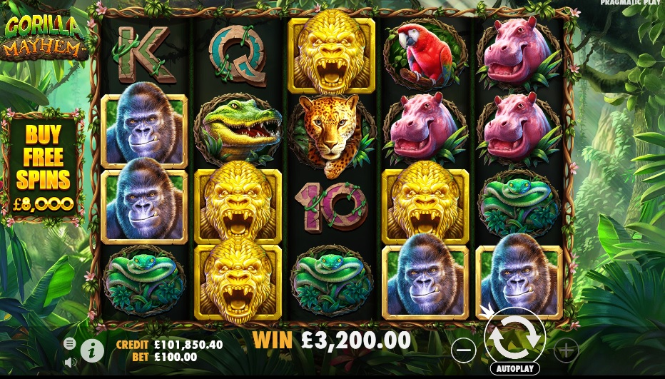 Gorilla Mayhem Slot Big Win
