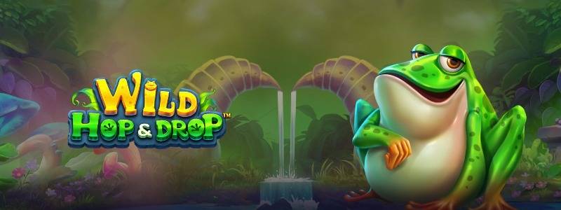 Wild Hop and Drop Slot logo